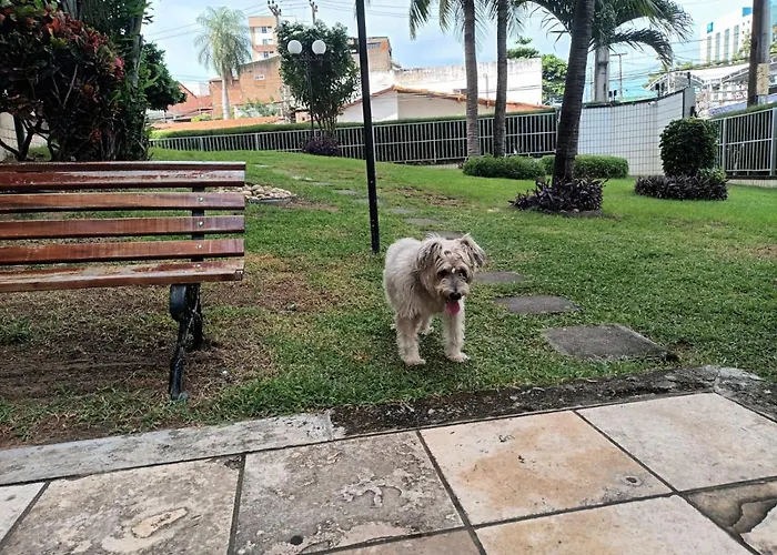 Apartamento Beira Praia